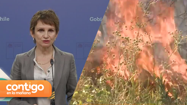 Gobierno decreta estado de catástrofe en la región de Biobío y Ñuble por incendios forestales