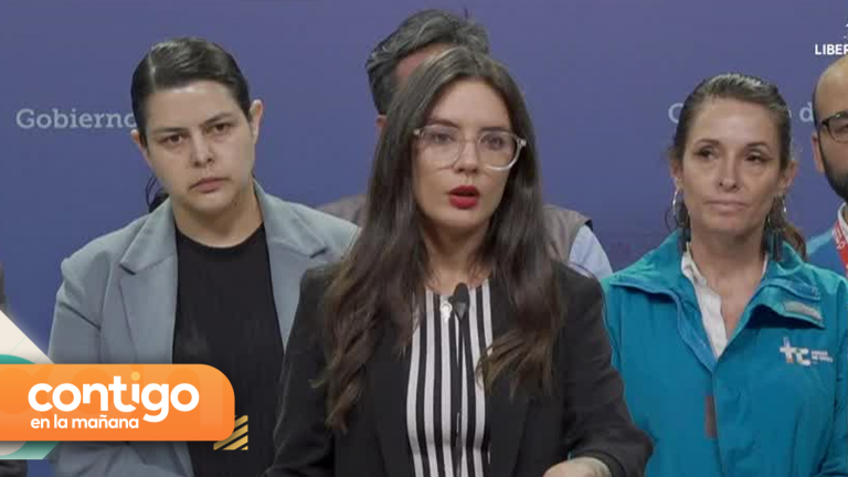 “Para todas las regiones afectadas”: Ministra Camila Vallejo se refirió a la llegada del Ten Tanker para el combate de los incendios forestales