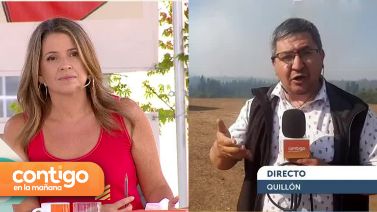 Incendios no dan tregua: Ya van 130 viviendas consumidas por el fuego en Quillón