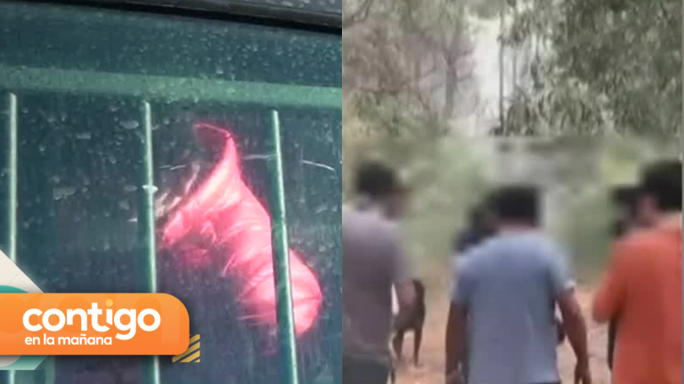 Desde fallas eléctricas hasta quema de pastizales: El misterioso origen de los incendios en el sur del país