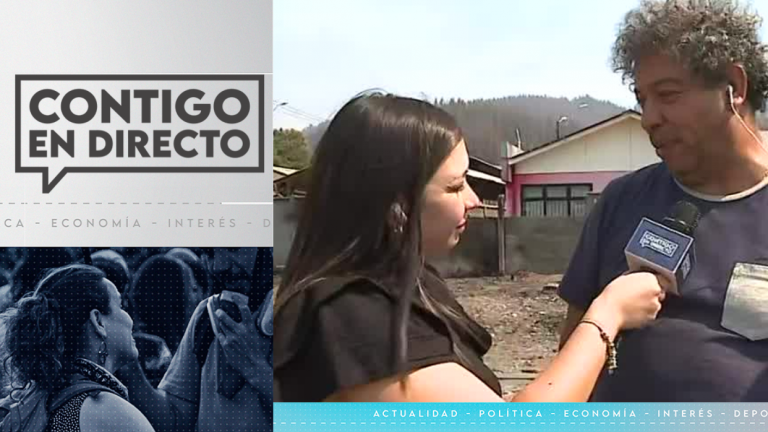 Más de un centenar de casas: Purén fue una de las zonas más afectadas por incendios forestales