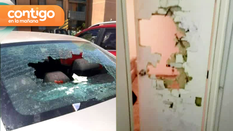 Peleas e intentos de incendio: La pesadilla que viven vecinos de Puente Alto por amenazante hombre
