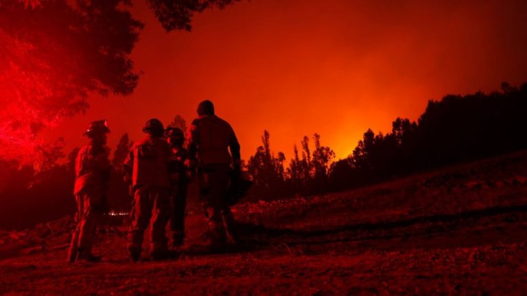 Incendios forestales en el sur de Chile: Carabineros confirmó 31 detenidos por su presunta participación