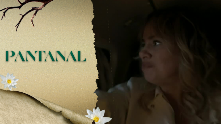 ¡Impactante! Madeleine fue al Pantanal y tuvo un terrible accidente de avión