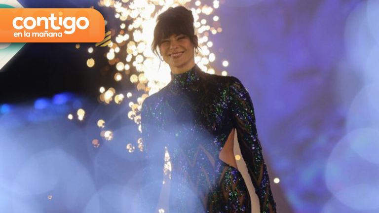 Tonka Tomicic reapareció en gala de Viña tras anunciar su separación con Parived