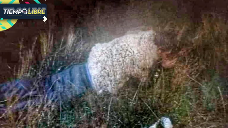 Insólito: Delincuente intentó escapar de la cárcel usando un disfraz de oveja