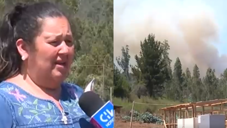 Vecina de Dichato increpa a responsables de incendios: 