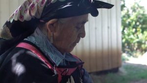 Aukinko, el eco de todas nosotras