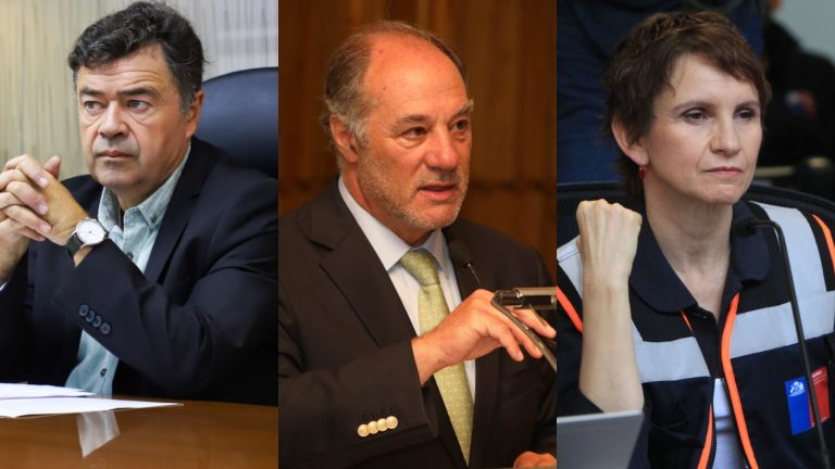 ¿Por qué se habla del royalty a forestales? Las declaraciones que marcaron el debate tras devastadores incendios