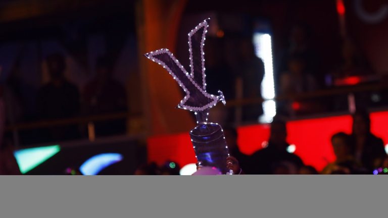 ¡Vuelven los clásicos! Estos son los artistas que se presentarán el martes 21 en Viña