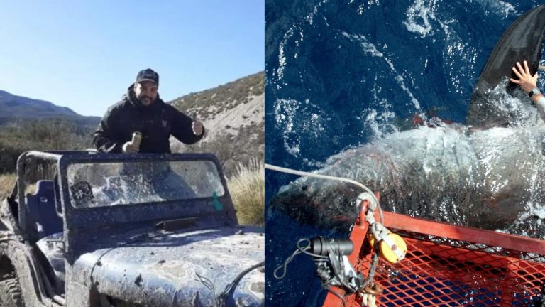 Pescadores encontraron en la panza de un tiburón a joven desaparecido en Argentina
