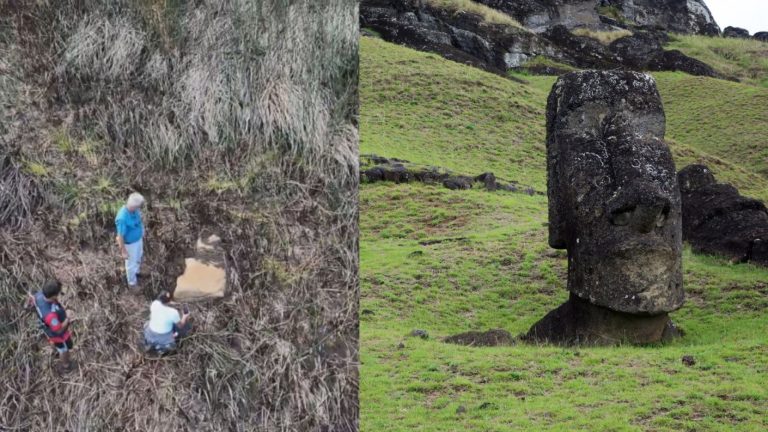 Hallazgo en Rapa Nui: Descubren nuevo moai en el lecho de un lago seco en el volcán Rano Raraku