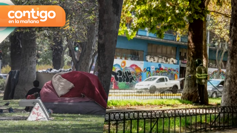 Presencia de carpas en bandejón central de Santiago se redujo en un 92%