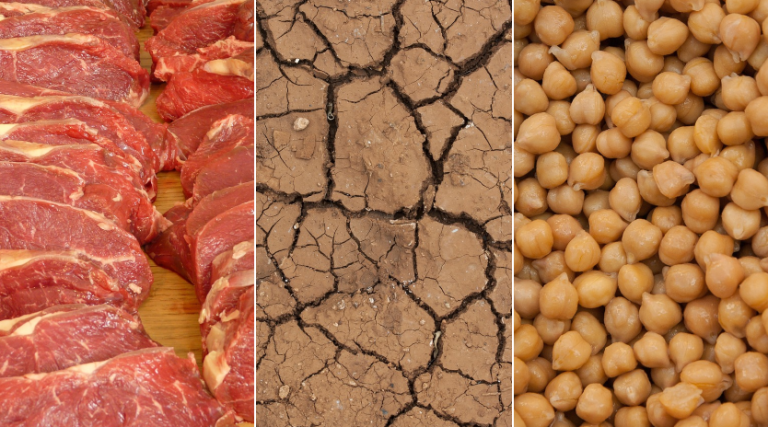 ¿Ustedes lo harían? 53% de los chilenos están dispuestos a disminuir su consumo de carne