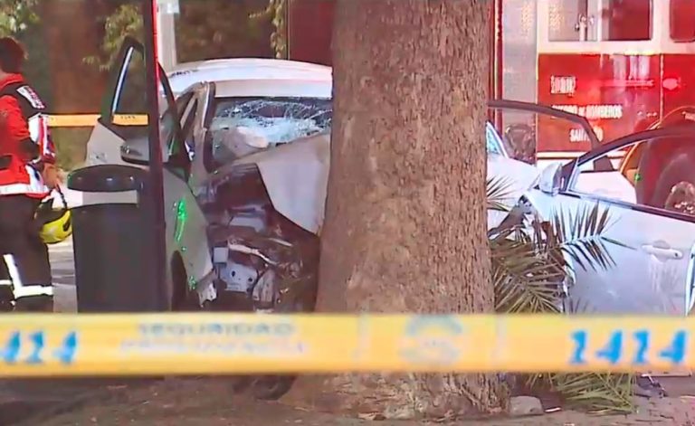 Copiloto está grave: Conductor murió tras chocar contra un árbol en Providencia