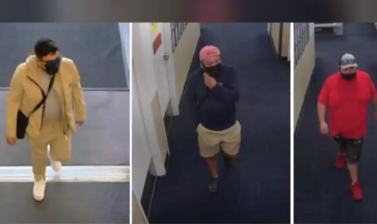 Capturan a chileno que robó 1 millón de dólares en diferentes especies en Estados Unidos