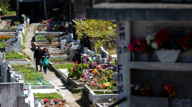 Macabro hallazgo: Trabajador encontró cráneo junto a peluche dentro de un saco en cementerio de Viña