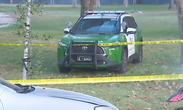 Hallan cuerpo al interior del Parque O'Higgins: No se descarta asalto con homicidio