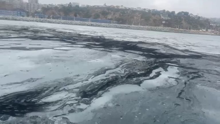 ¿Hollín o petróleo? Los registros que alertan por preocupante mancha negra en playa de Viña del Mar