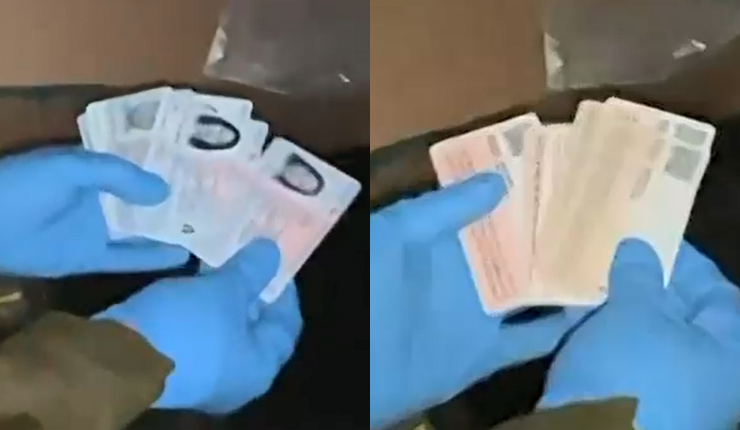 Desarticulan a banda que falsificaba cédulas de identidad en Independencia: 3 sujetos fueron detenidos