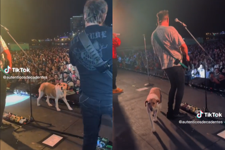 Un ídolo: Perrito se subió al escenario en pleno concierto de Los Auténticos Decadentes y se robó el show