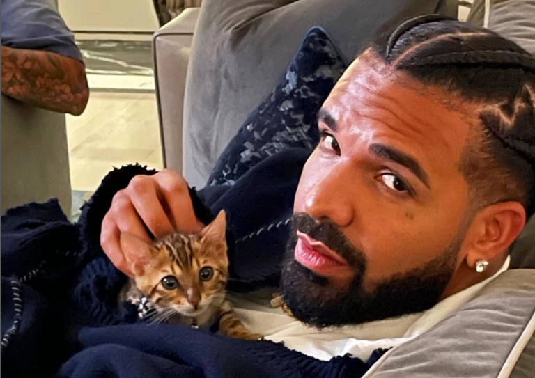 Era el plato fuerte de la última jornada: Drake canceló su show en Lollapalooza Brasil a última hora