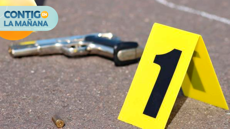 Alta peligrosidad y poder de fuego: Este es el perfil del nuevo delincuente en Chile