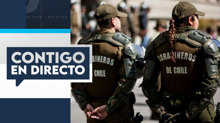 Agenda de seguridad: Diputados aprueban fusionar proyecto de ley Naín-Retamal