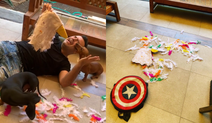 Kurt Carrera fue víctima de travesura de sus perros: Le destrozaron clásica capucha de Tutu Tutu