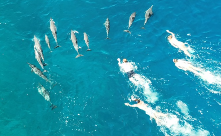 Iniciarán una investigación: 33 nadadores fueron denunciados por perseguir y acosar 