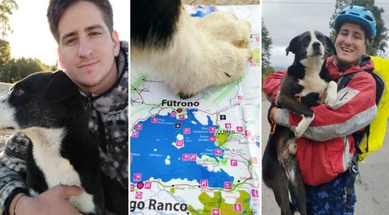 ¡De película! Santiaguino recorrió 120 km con perrito, quiso darlo en adopción y encontró a sus dueños en Futrono