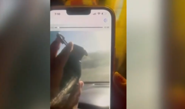 La amenaza de vivir bajo extorsión: Preocupante aumento de intimidación a comerciantes y empresarios