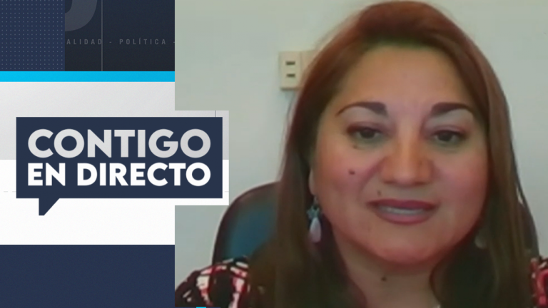 Diputada Viviana Delgado se refirió al polémico emplazamiento contra el ministro de Educación