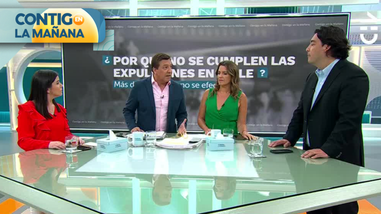 “No los están recibiendo”: Diputado Raúl Leiva por alta cifra de expulsiones pendientes