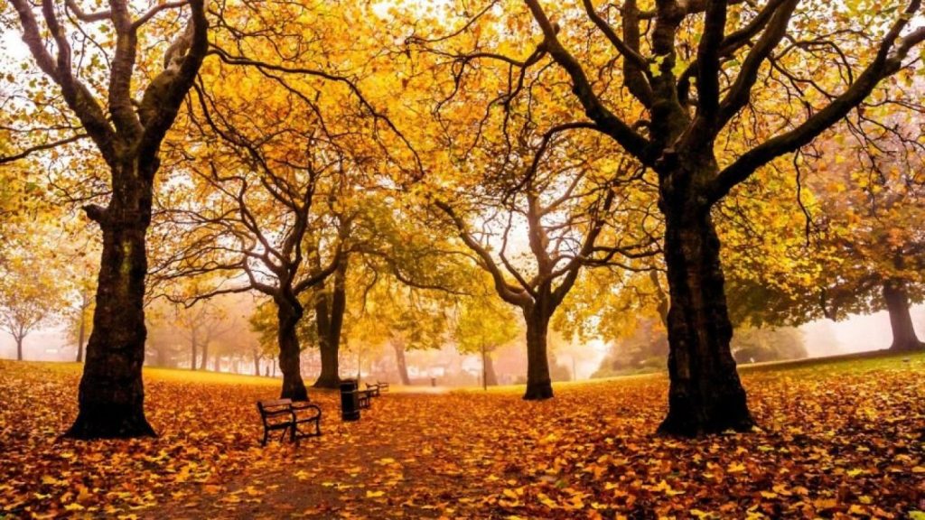 Chao verano: ¿Cuándo llegará el otoño 2023 y qué día se cambiará la hora en Chile?