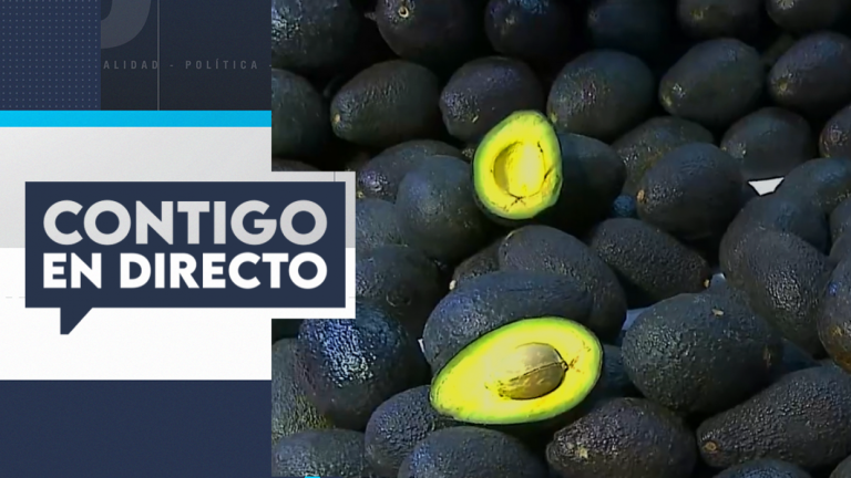 Escasez de producción: El kilo de palta podría llegar hasta los $10.000 a fin de mes