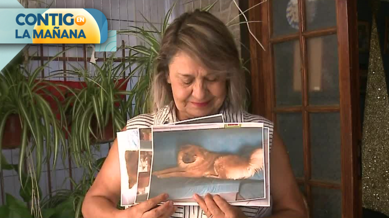 Lo atacó con un arma blanca: Familia denuncia que vecino mató a su perro