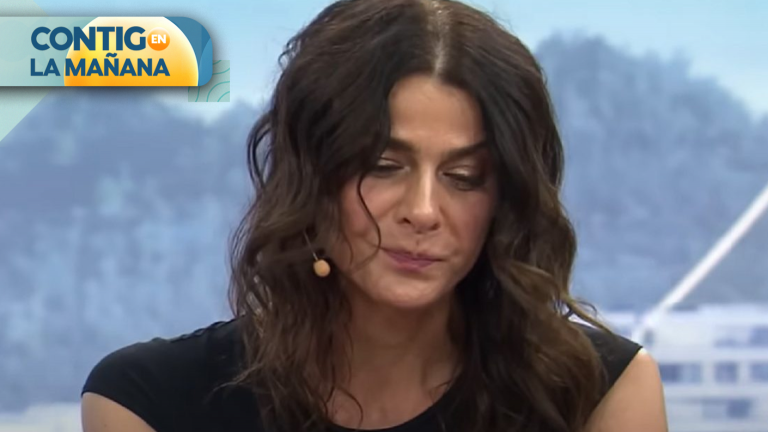 ¿Cuáles son los antecedentes por los que Tonka Tomicic podría ser imputada en el Caso Relojes?