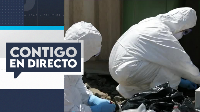 Minsal informó del primer caso de gripe aviar en humanos en Chile