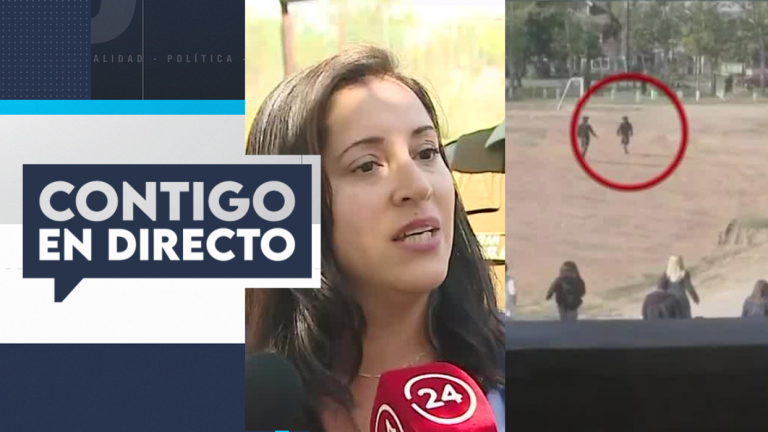 “Hay riñas previas”: Delegada presidencial se refirió a riña en colegio de Puente Alto