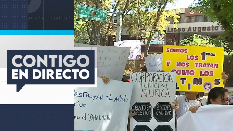 Preocupación por cierre del Liceo Augusto D'Halmar: Seremi de Salud detectó plaga de ratones