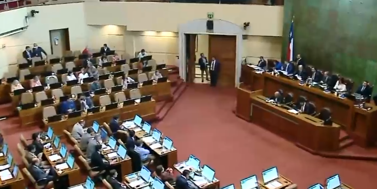De forma extraordinaria: Comisión de Seguridad del Senado comenzó discusión en particular de Ley Naín-Retamal