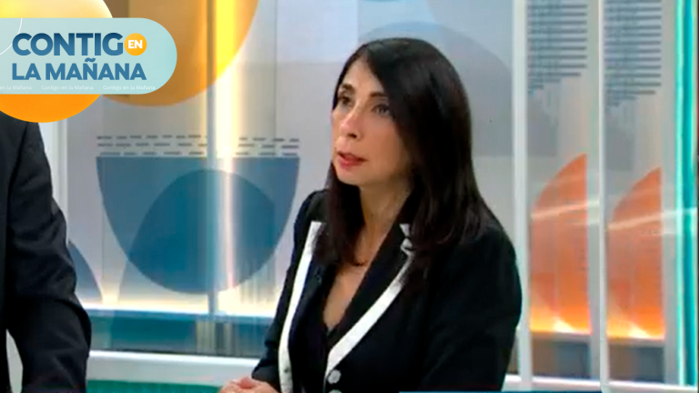 Karla Rubilar por atribuciones a Carabineros: “Esa delgada línea entre seguridad y DDHH no nos permite avanzar”