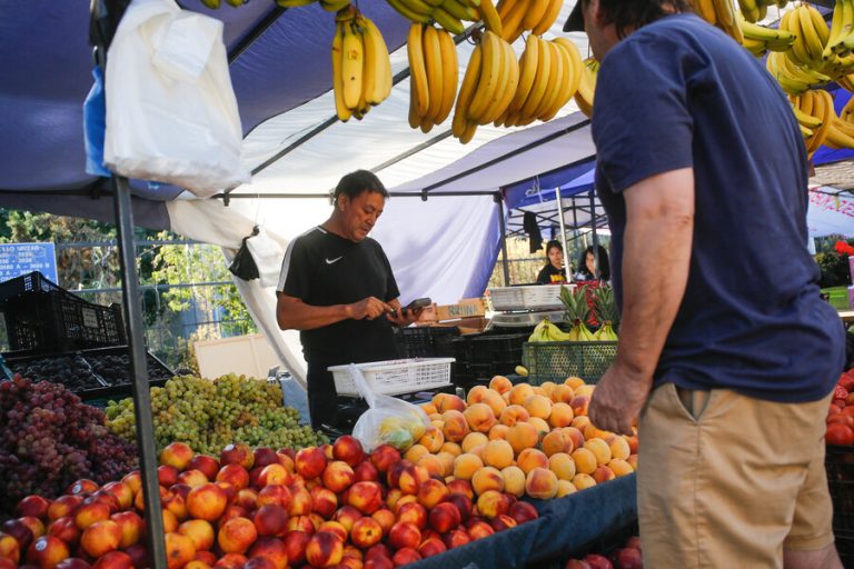 ¿Quiénes y cuándo lo reciben? Todo lo que debes saber del Bolsillo Familiar Electrónico y Aporte Canasta Básica