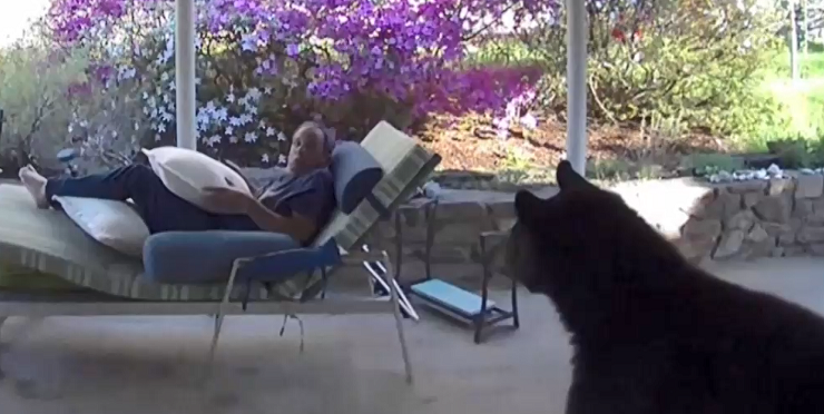 La increíble reacción de hombre que se topó con un oso dentro de su casa en EEUU: 