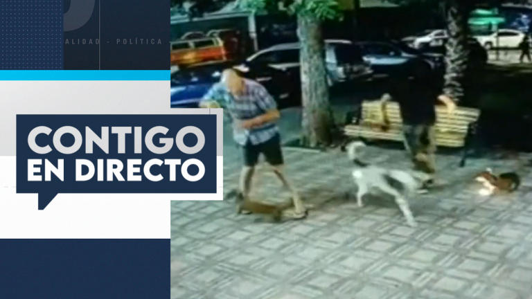 Denuncian agresiones: Mujer utiliza a sus perros para atemorizar a sus vecinos en Providencia