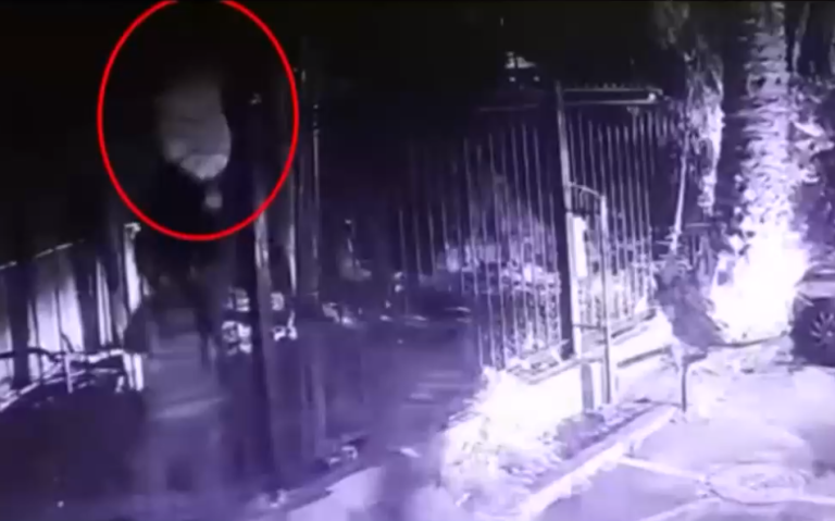 Intentaron huir por un Campo de Polo: Detienen a 3 delincuentes chilenos tras robo en Argentina