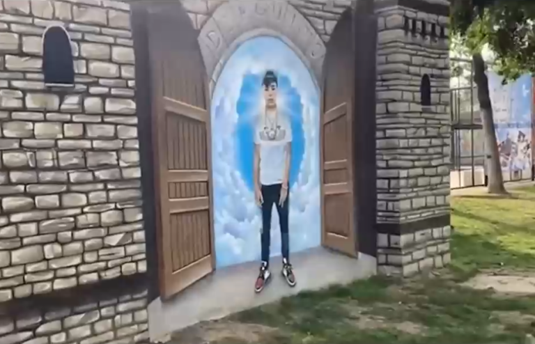 Para combatir la delincuencia: Proponen proyecto de ley que busca destruir 