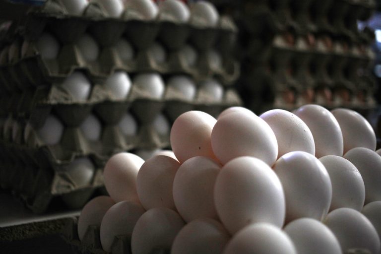 Por gripe aviar: Producción de huevos ha disminuido un 5% y su valor aumenta en el comercio