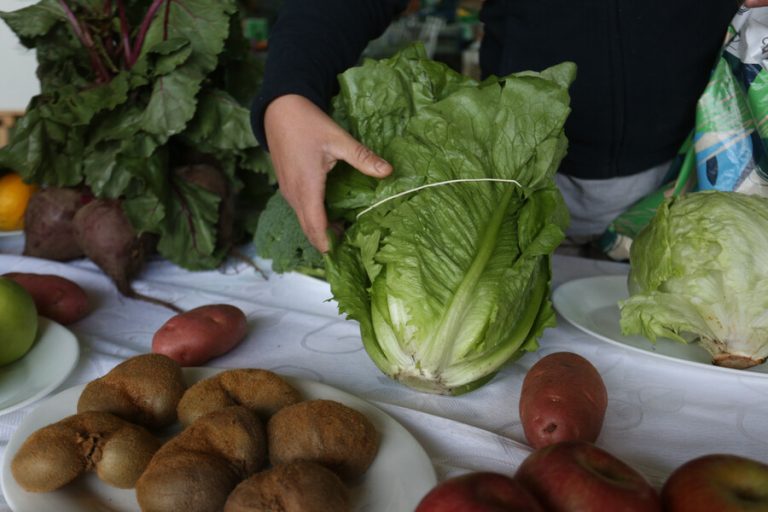 Comienzan los pagos en mayo: Revisa cómo y quién puede recibir el bono Bolsillo Familiar Electrónico